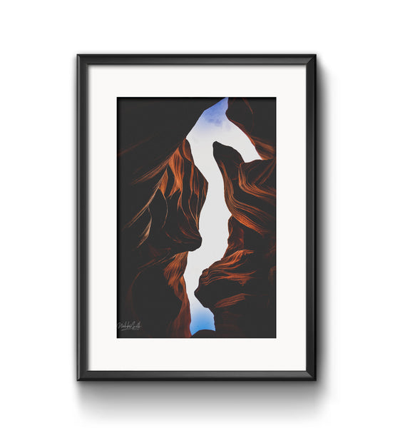 Seahorse (Limited Edition) – Adrift Explore